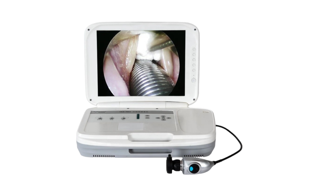 Portable Endoscopy System